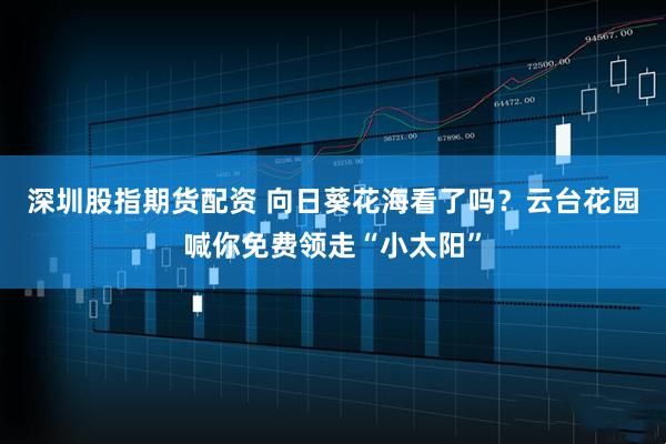 深圳股指期货配资 向日葵花海看了吗？云台花园喊你免费领走“小太阳”
